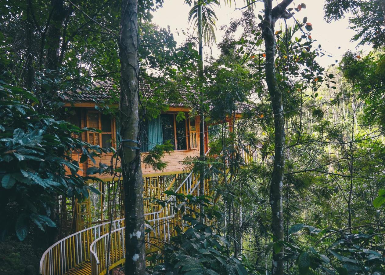 Bamboo Creek Resort Vaduvanchal Exterior foto