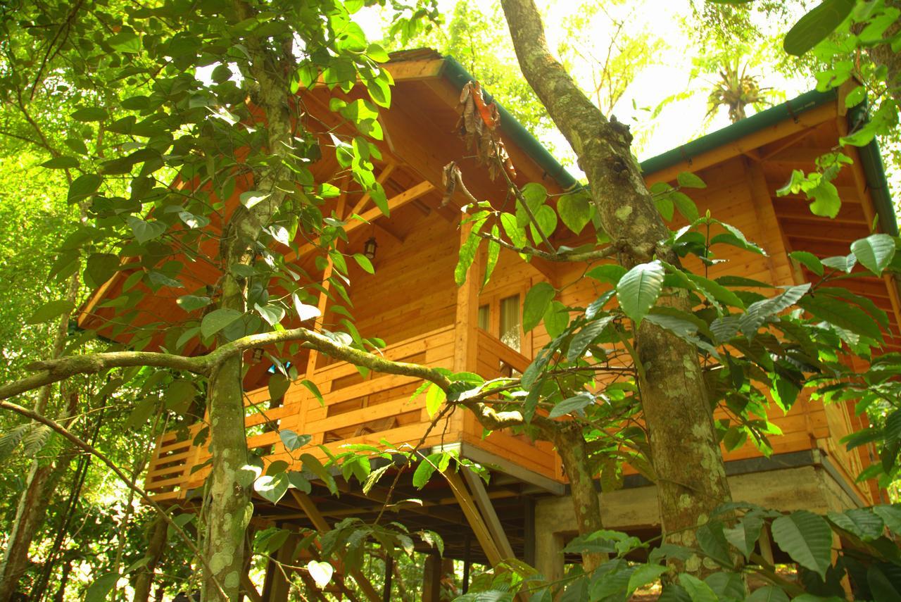 Bamboo Creek Resort Vaduvanchal Exterior foto